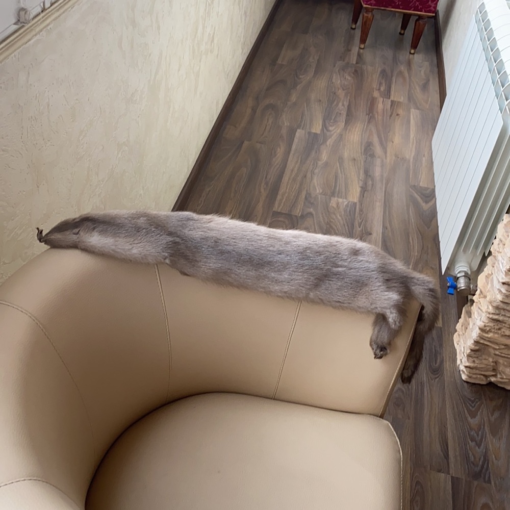 new mink skin gray